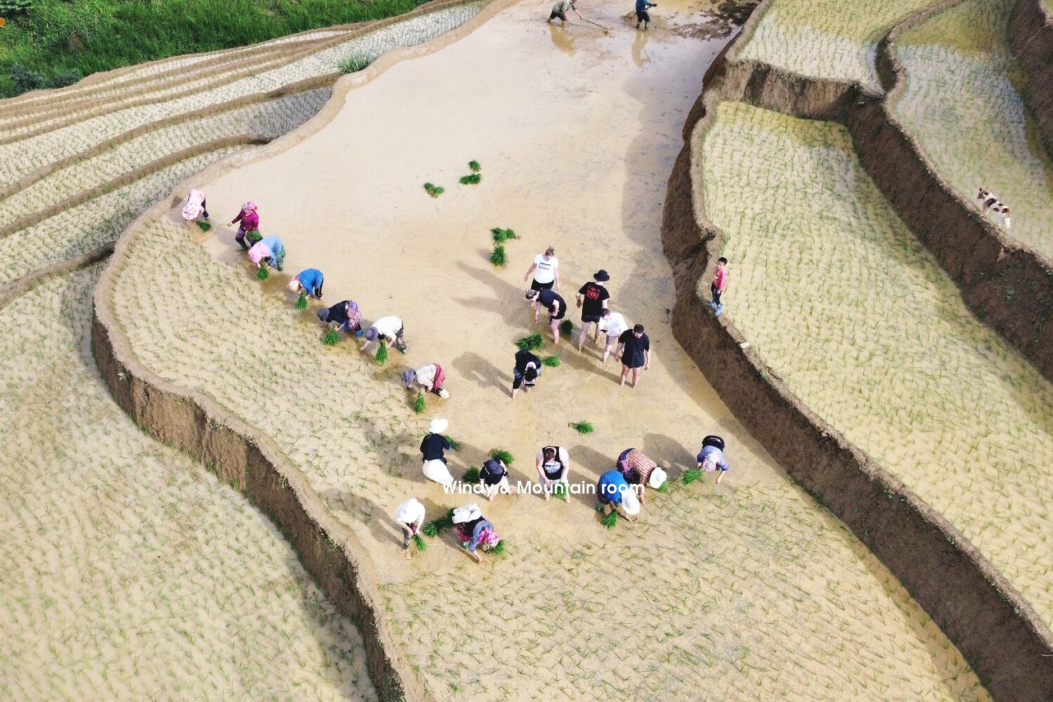 motorbike mu cang chai tour- zonitrip