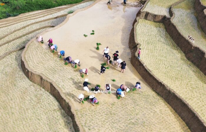 289246820_5315613348506246_3029692820151519356_n motorbike mu cang chai tour- zonitrip