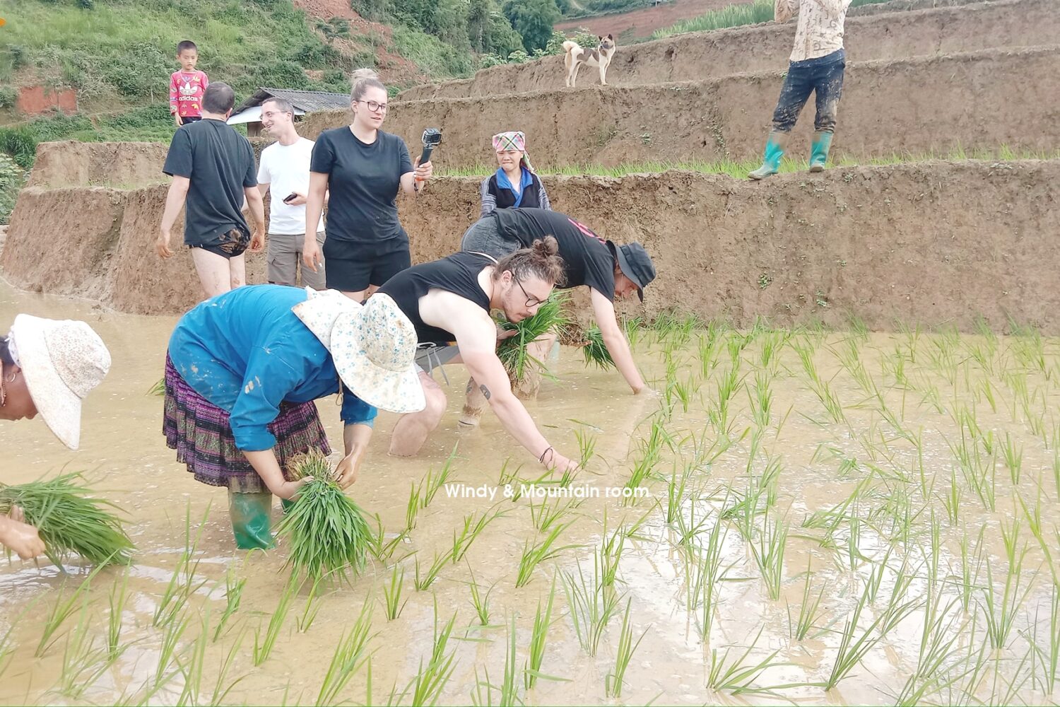 motorbike mu cang chai tour- zonitrip