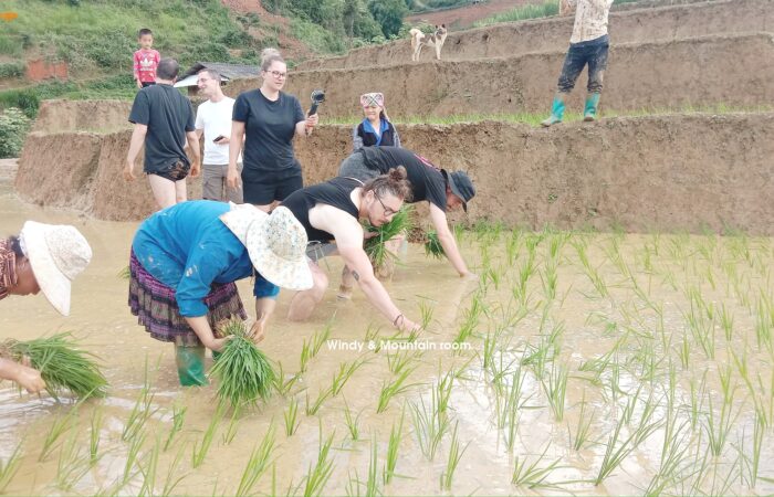 289537614_5315616485172599_2997286071540402159_n motorbike mu cang chai tour- zonitrip