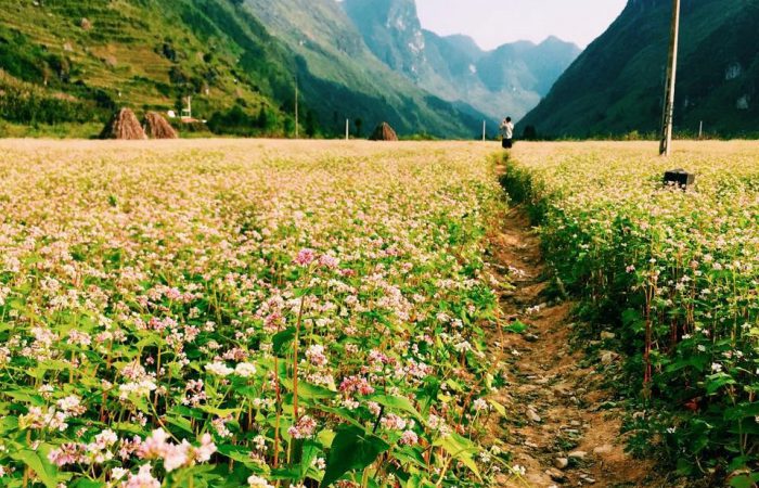 Ha Giang, Vietnam Ha Giang, Vietnam