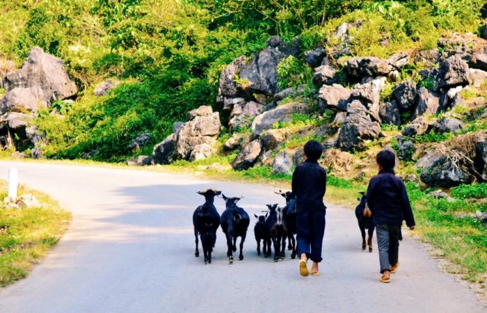 Ha Giang, Vietnam Ha Giang, Vietnam