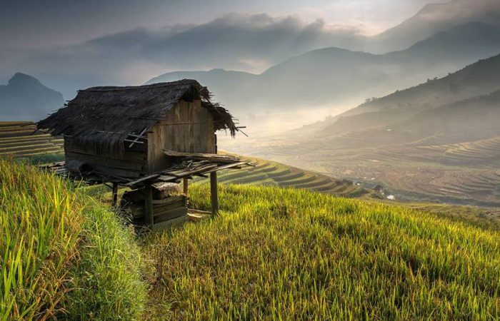 rice terrace – mu cang chai-vietnam rice terrace - mu cang chai-vietnam