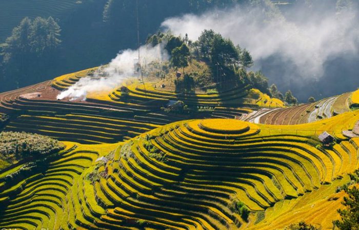 rice terrace - mu cang chai-vietnam