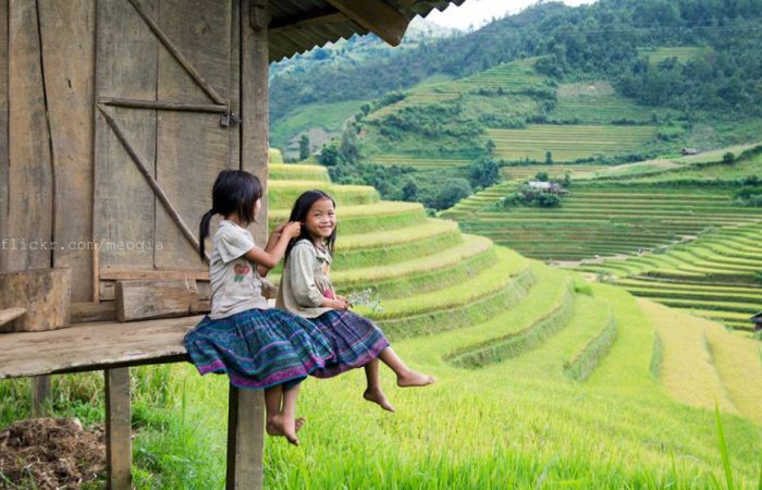 rice terrace – mu cang chai-vietnam rice terrace - mu cang chai-vietnam