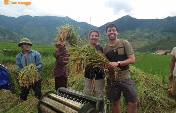 mu cang chai trekking tour mu cang chai trekking tour