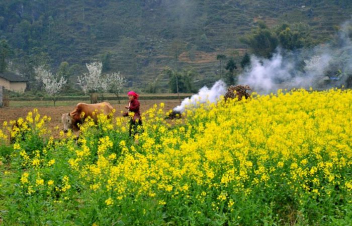 Ha Giang, Vietnam Ha Giang, Vietnam, zonitrip