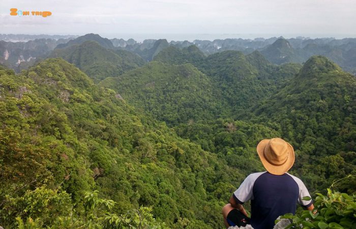 halong - lan ha bay-trekking
