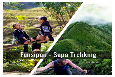 Fansipan-sapa trekking-zonitrip