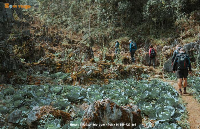 Trekking Hagiang tour Trekking Hagiang tour