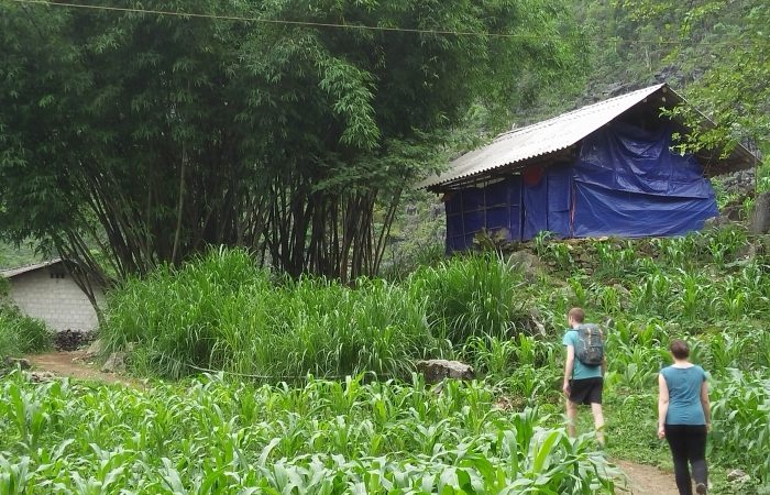 ha giang trekking ha giang trekking