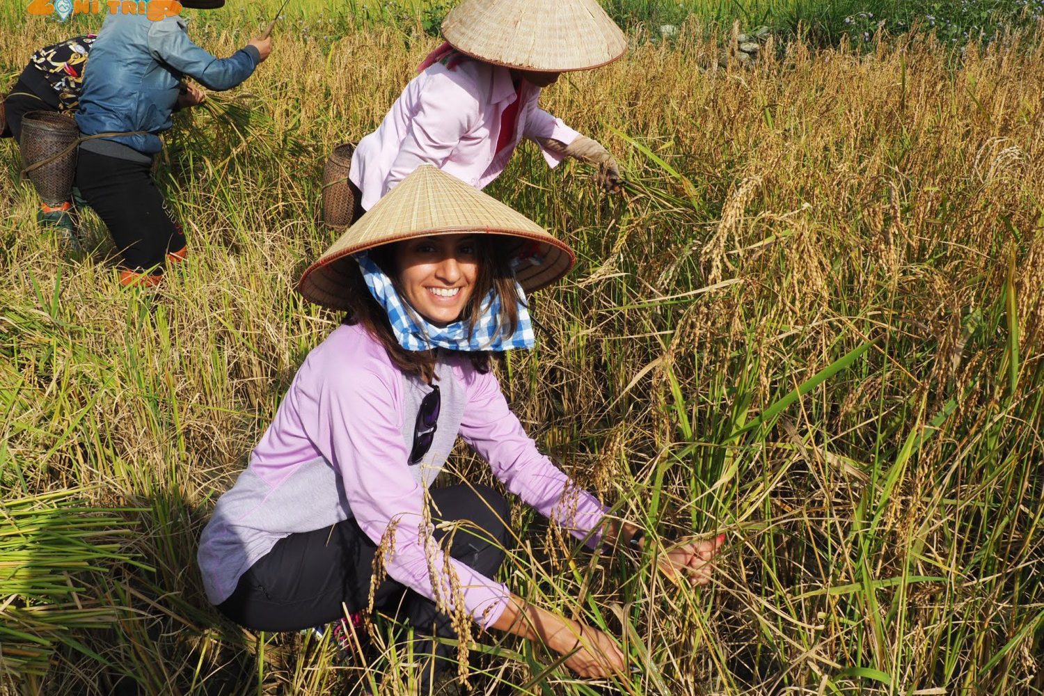 mu cang chai trekking tour