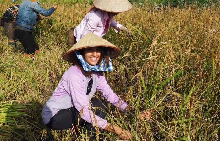 mu cang chai trekking tour mu cang chai trekking tour