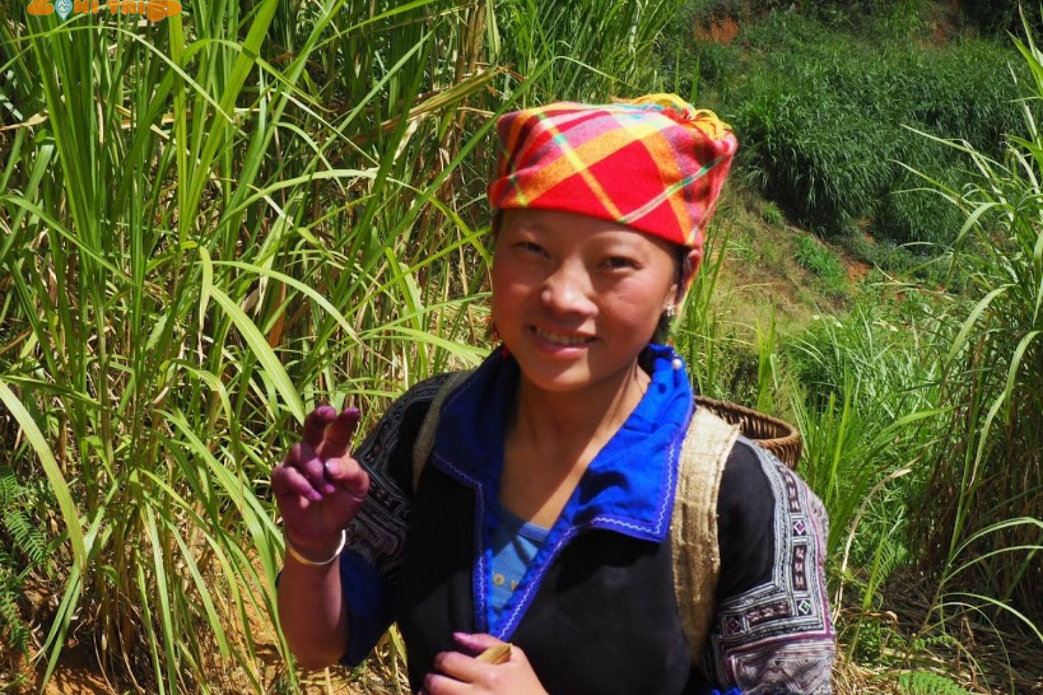 mu cang chai trekking tour