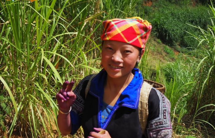 mu cang chai trekking tour mu cang chai trekking tour