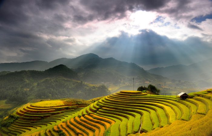rice terrace – mu cang chai-vietnam rice terrace - mu cang chai-vietnam
