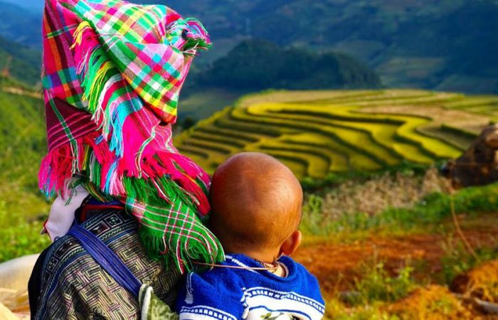 rice terrace – mu cang chai-vietnam rice terrace - mu cang chai-vietnam