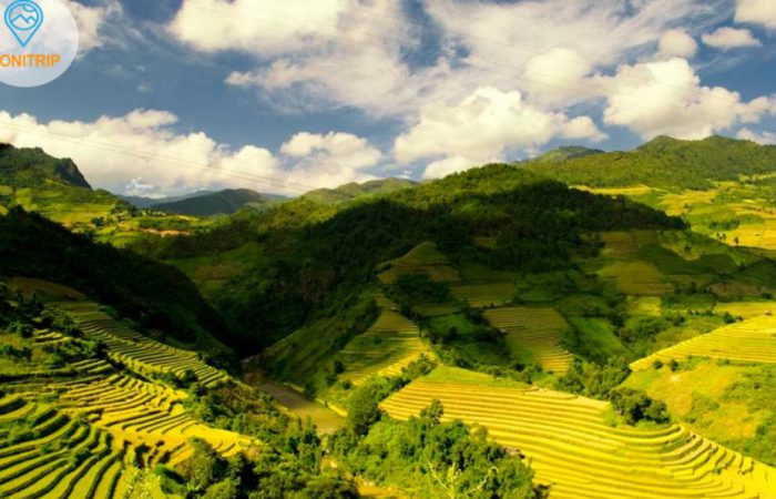 rice terrace - mu cang chai-vietnam