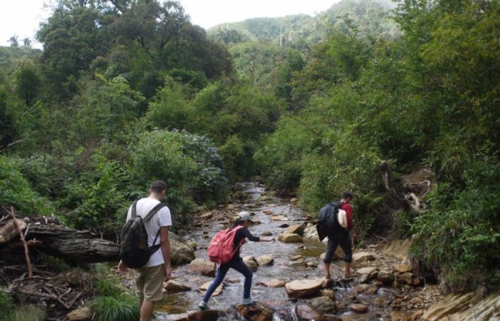 Trekking Fansipan- zonitrip