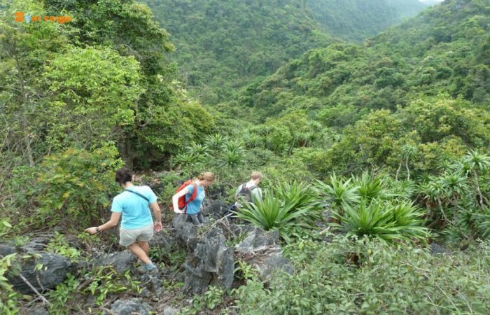 halong - lan ha bay-trekking