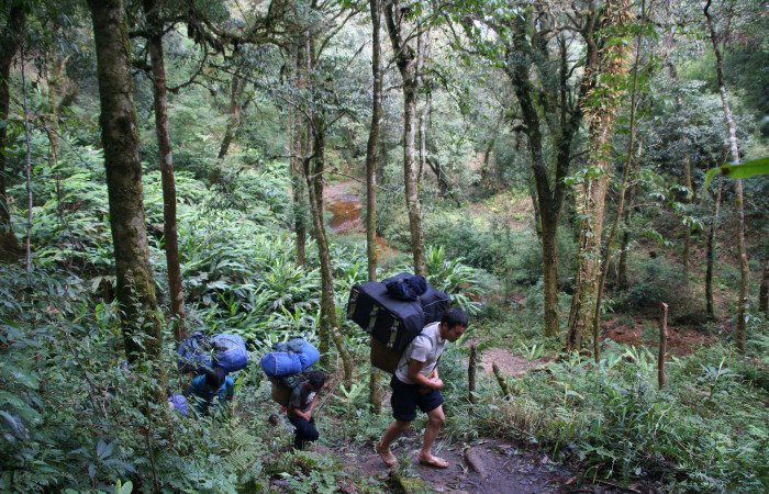 Trekking Fansipan, Vietnam Trekking Fansipan, Vietnam