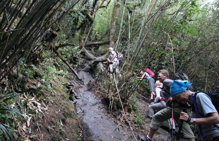 Trekking Fansipan, Vietnam Trekking Fansipan, Vietnam