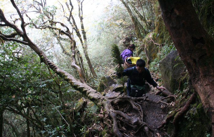 Trekking Fansipan, Vietnam Trekking Fansipan, Vietnam