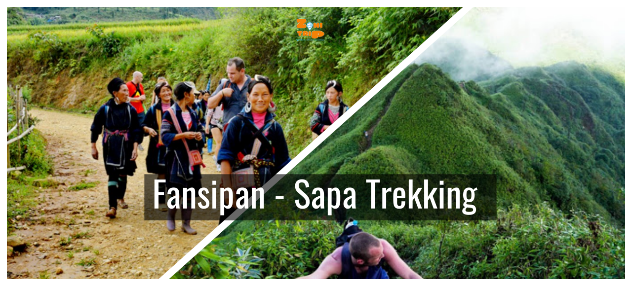 fansipan- sapa trekking anh bia 1280 Trekking Fansipan- Hiking Sapa