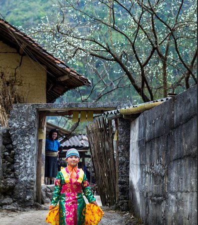 ha giang – spring ha giang- lolo