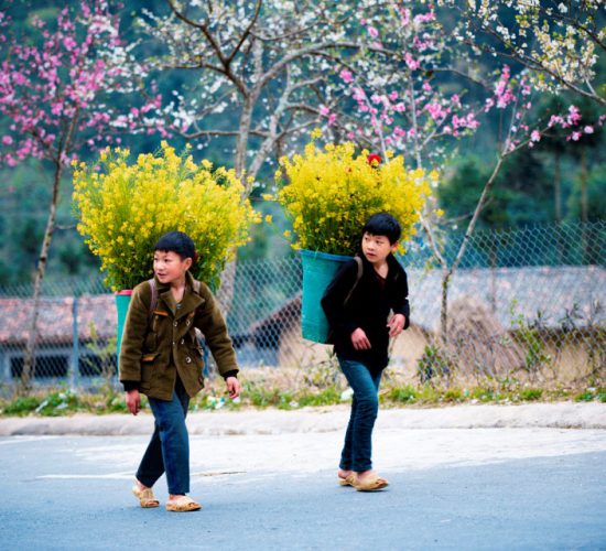 Ha Giang, Vietnam, zonitrip