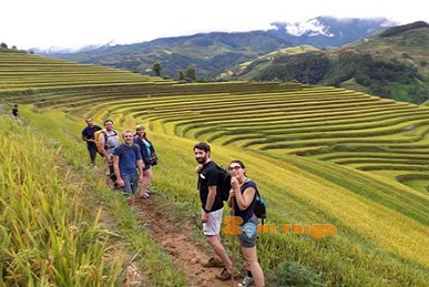 trekking mu cang chai - thumnail