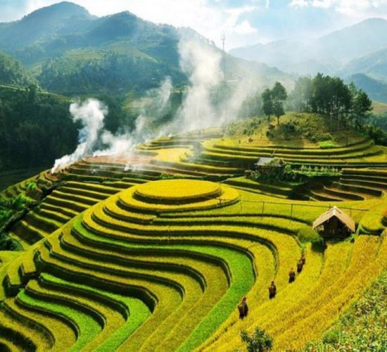 rice terrace - mu cang chai-vietnam