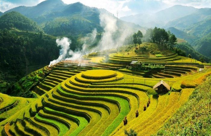 rice terrace – mu cang chai-vietnam rice terrace - mu cang chai-vietnam