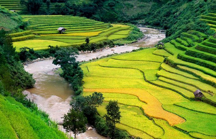 sapa-vietnam 1500px-rice.960px sapa, vietnam 960px