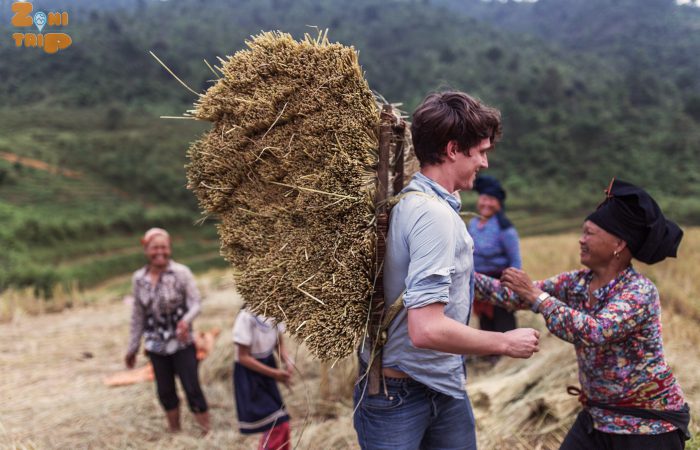 trekking Mu Cang Chai tour 2.1 rice terrace - mu cang chai-vietnam