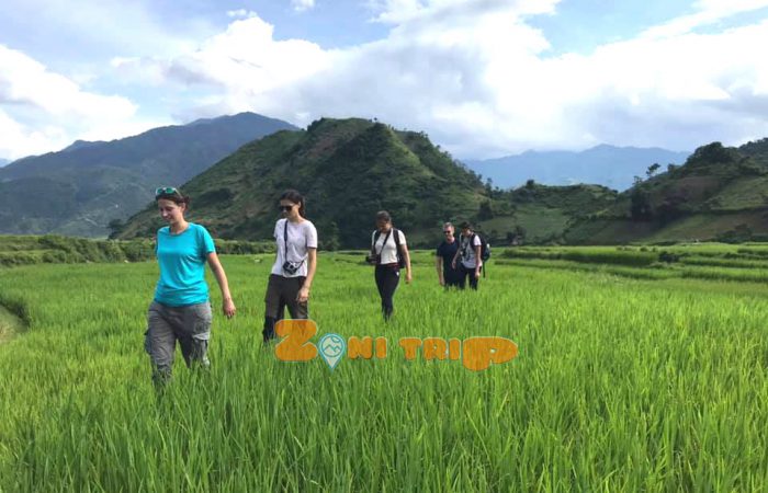 trekking in Tu Le- Mu Cang CHai rice terrace - mu cang chai-vietnam