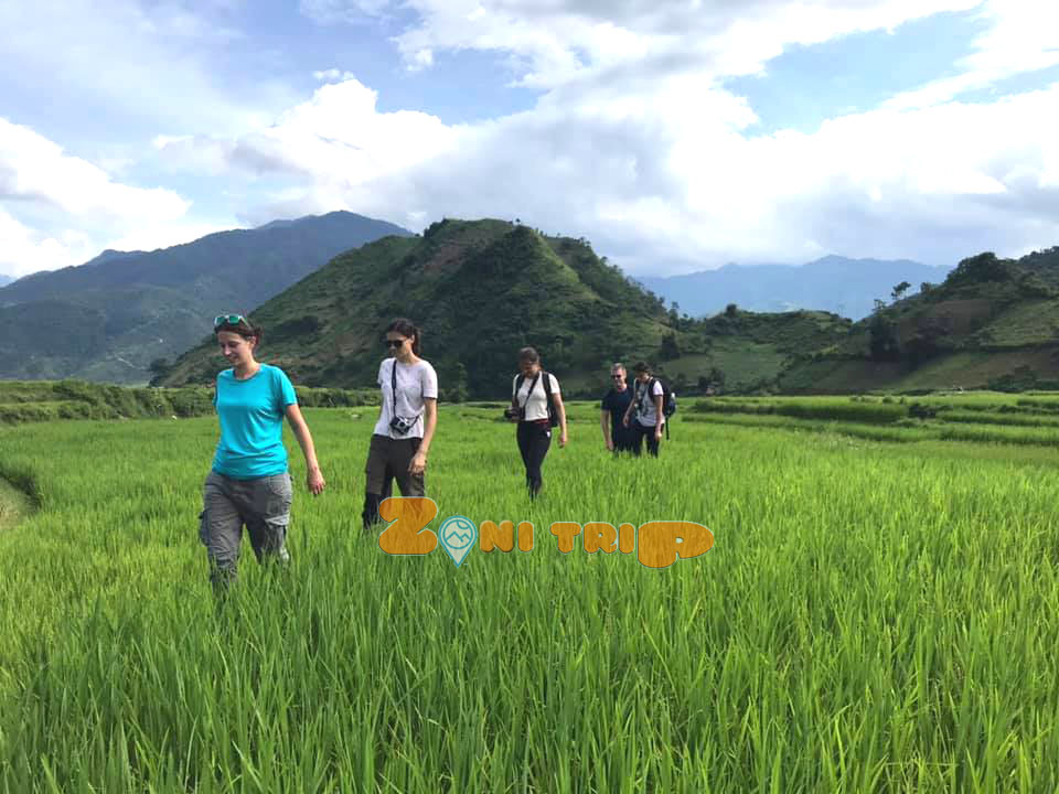 trekking in Tu Le- Mu Cang CHai rice terrace - mu cang chai-vietnam