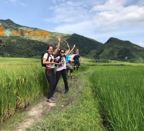 rice terrace - mu cang chai-vietnam