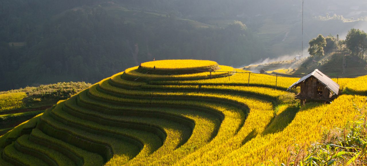 mu cang chai- zonitrip.1400 mu cang chai- zonitrip.1400