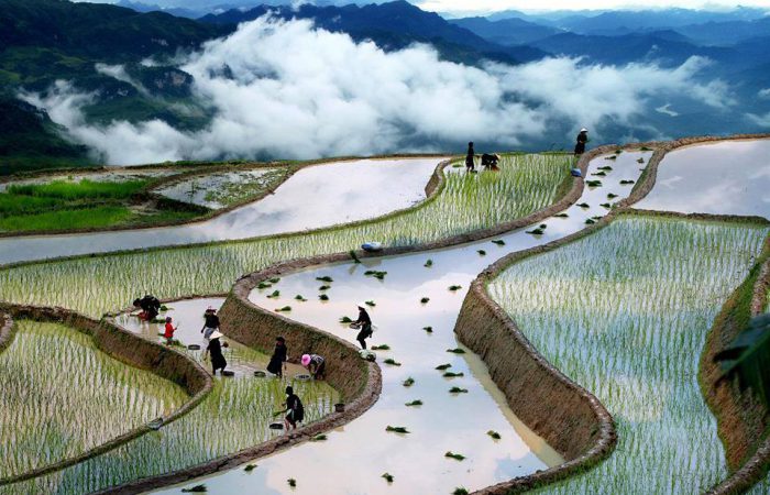 hoang su phi-zonitrip hoang su phi-zonitrip