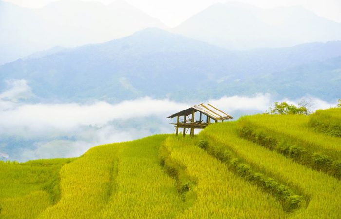 hoang su phi-zonitrip hoang su phi-zonitrip