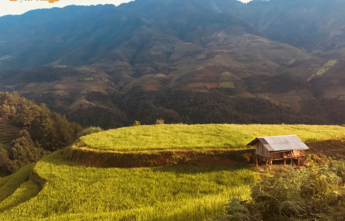 mu cang chai trekking tour mu cang chai trekking tour