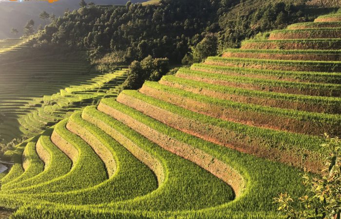 mu cang chai trekking tour mu cang chai trekking tour