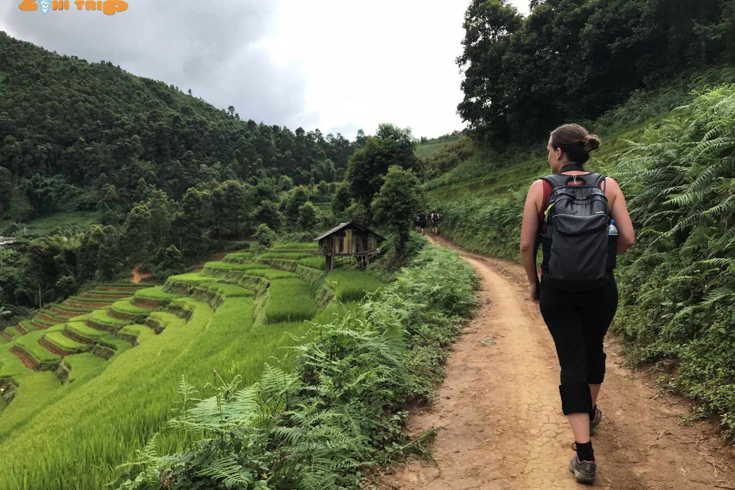 mu cang chai trekking tour