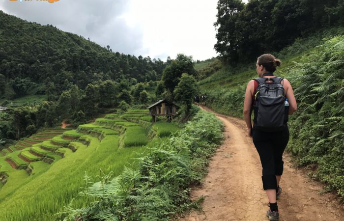 mu cang chai trekking tour mu cang chai trekking tour