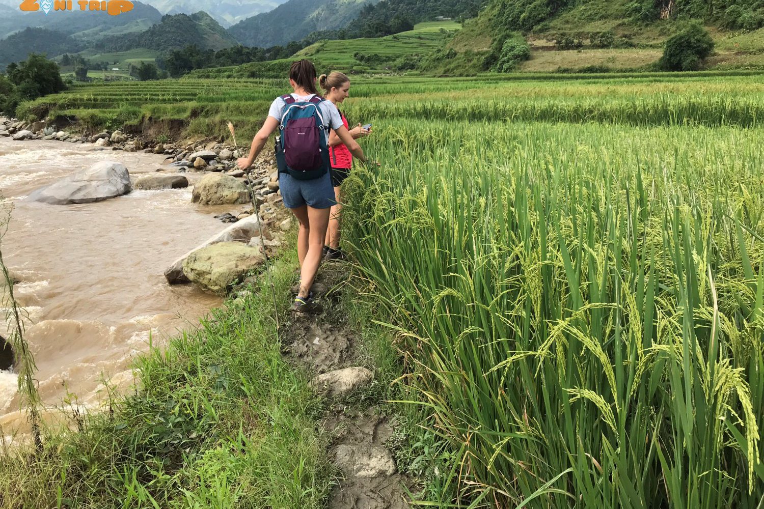 Trekking North VIetnam ( Mu Cang Chai, Sapa, Pu Luong...)