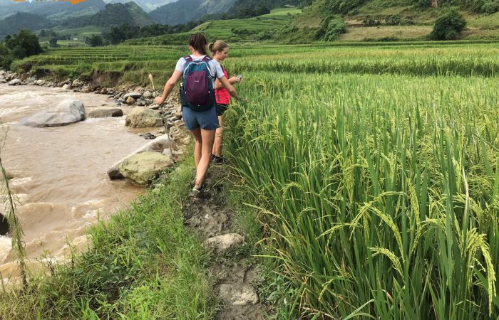 Trekking North VIetnam ( Mu Cang Chai, Sapa, Pu Luong…) Trekking North VIetnam ( Mu Cang Chai, Sapa, Pu Luong...)