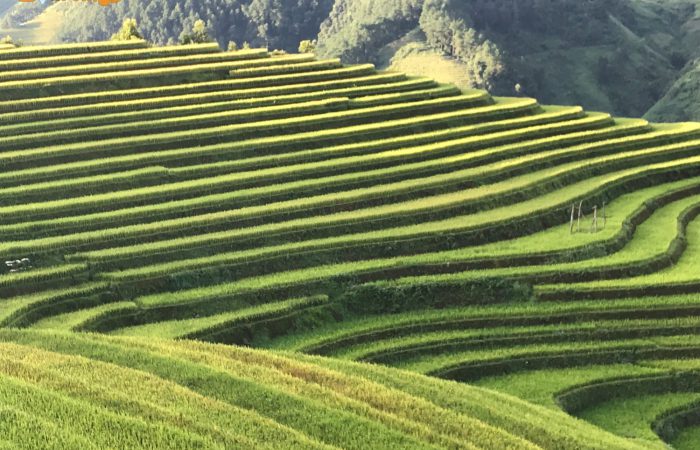 mu cang chai trekking tour