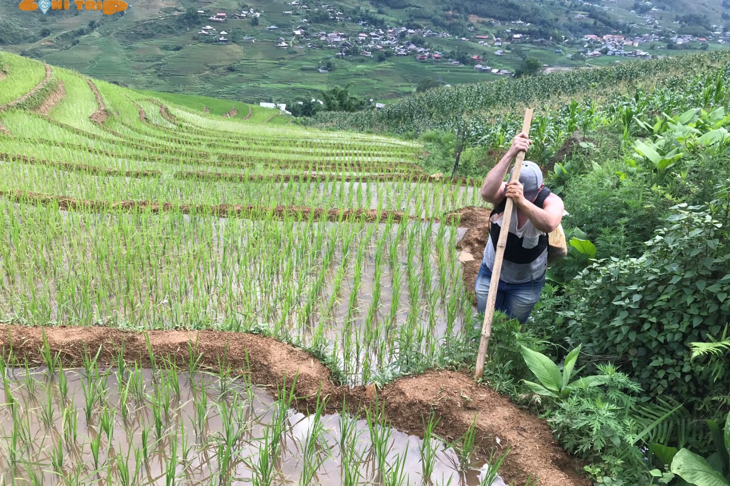 Trekking North VIetnam ( Mu Cang Chai, Sapa, Pu Luong...)