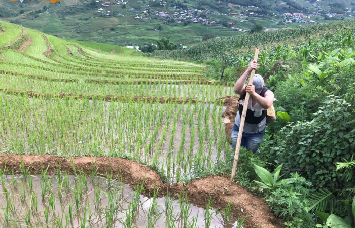 Trekking North VIetnam ( Mu Cang Chai, Sapa, Pu Luong…) Trekking North VIetnam ( Mu Cang Chai, Sapa, Pu Luong...)
